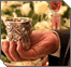 Kiddush and Havdalah