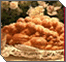 Lechem Mishnah
