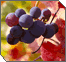 Tu B'Shevat