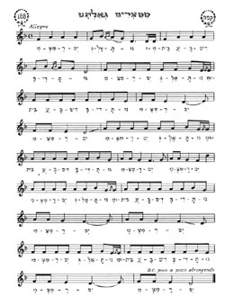 Musical Notes